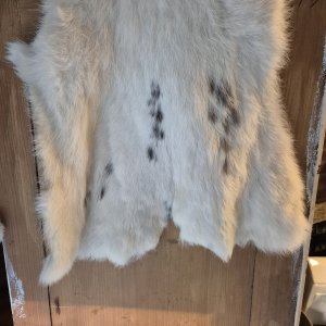 XL konijnenvacht ( wit gevlekt )