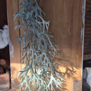 kunst hertshoorn 78cm